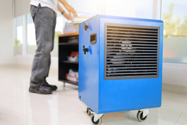 Best Mold-Related Health Consultation  in Vado, NM
