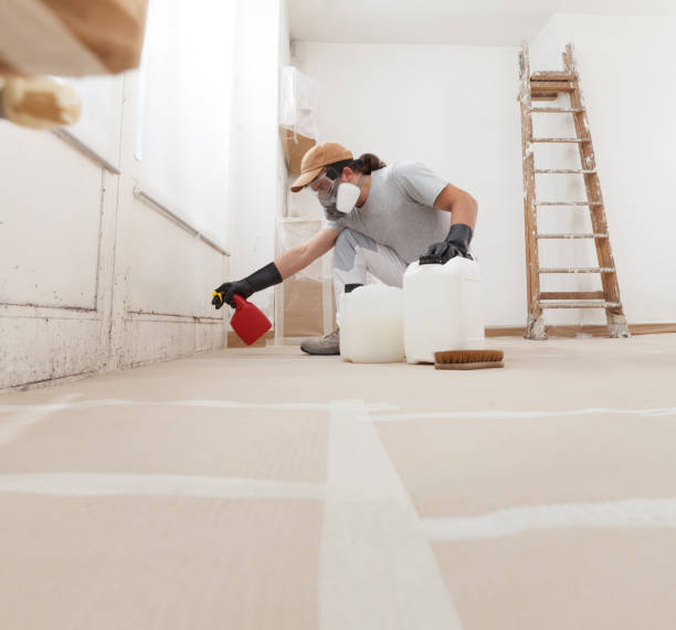 Best Environmental Consulting for Mold Prevention  in Vado, NM