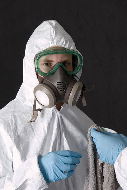 Best Mold Damage Restoration  in Vado, NM